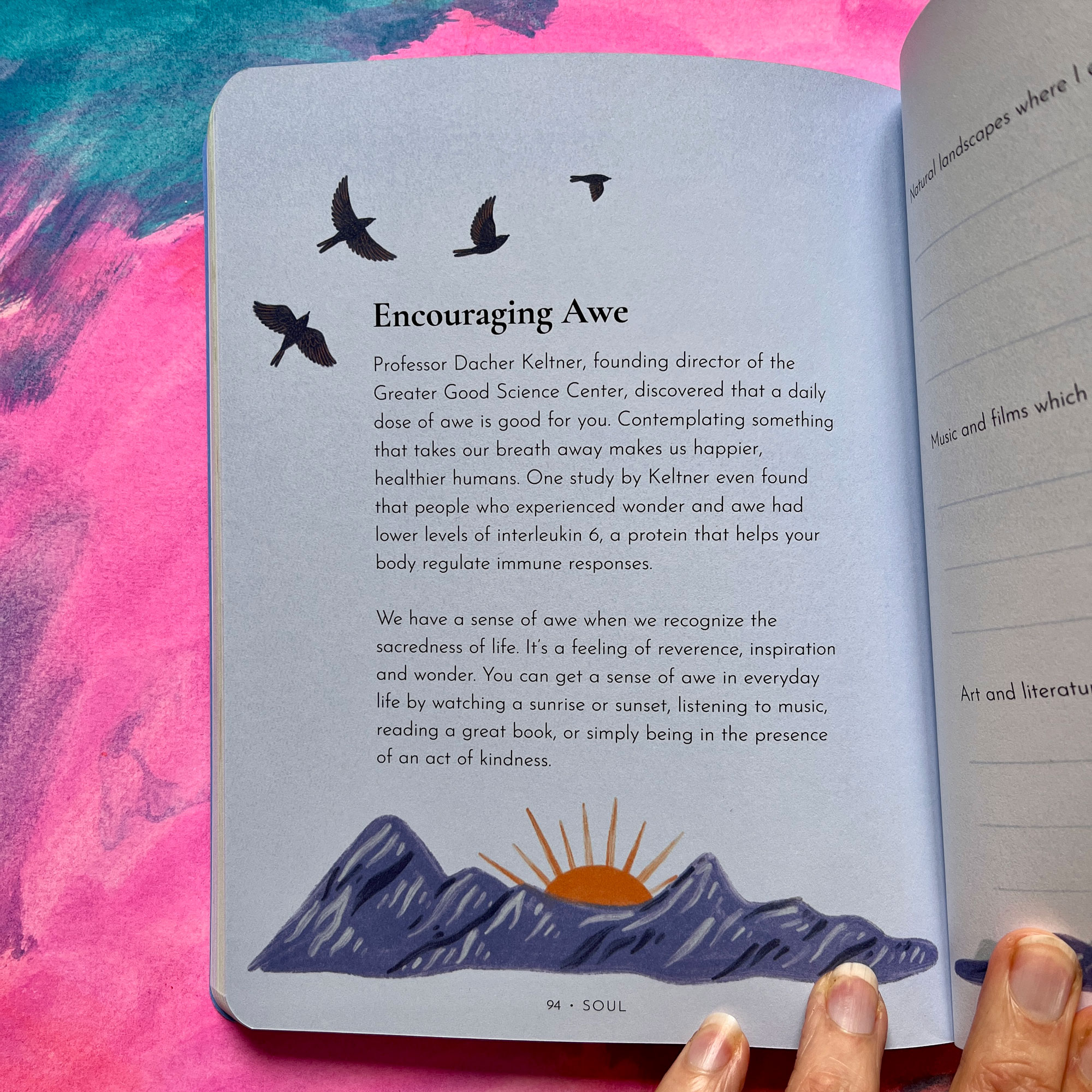 10 Minute Wellness Journal Illustrations · Lee Foster-Wilson